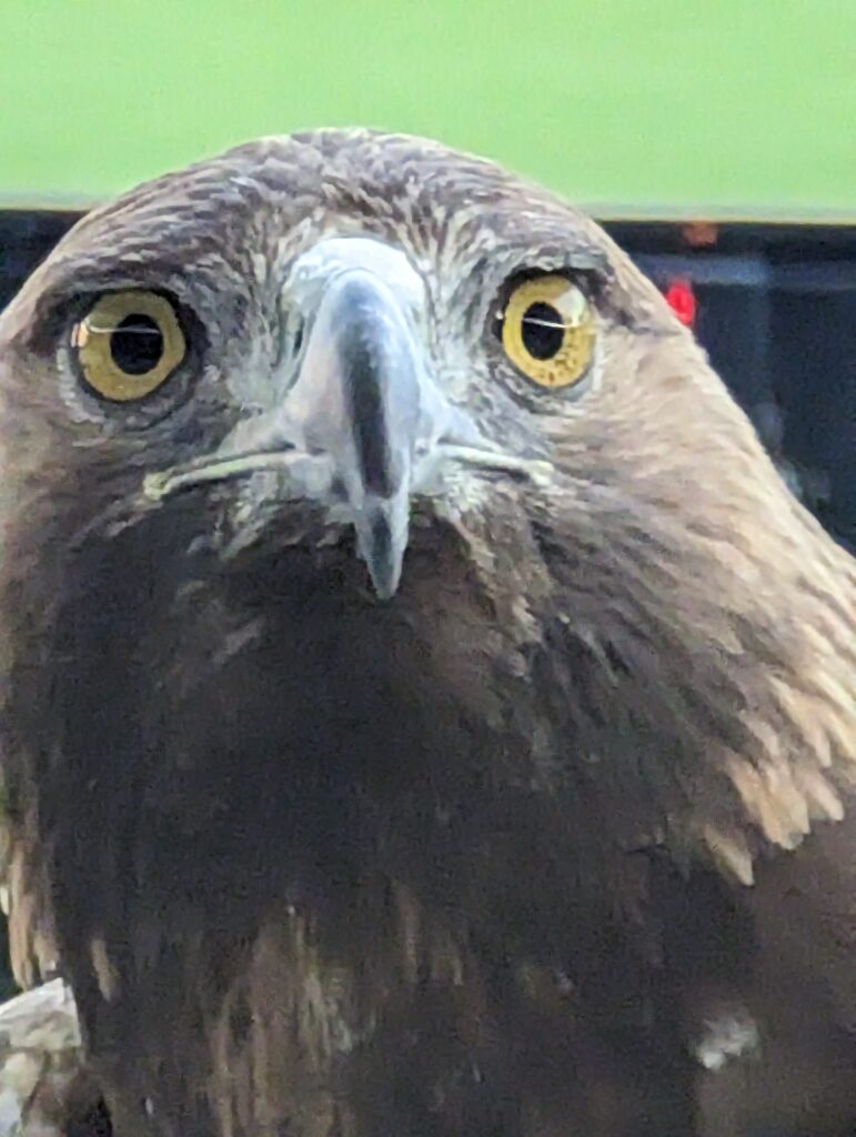 PXL_20230603_164940877