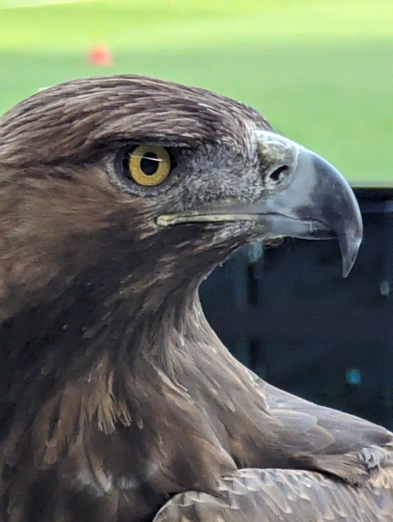 PXL_20230603_164947963